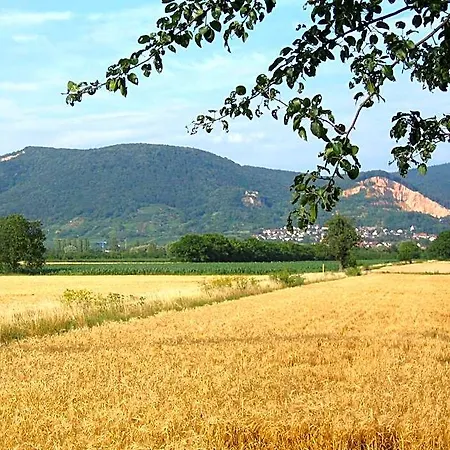 Neu - & Heidelberg