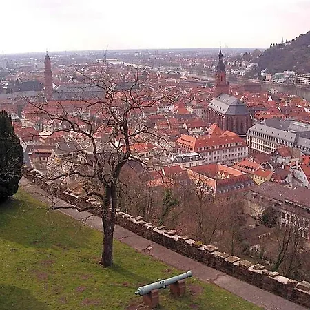 Neu - & Hotel 3*