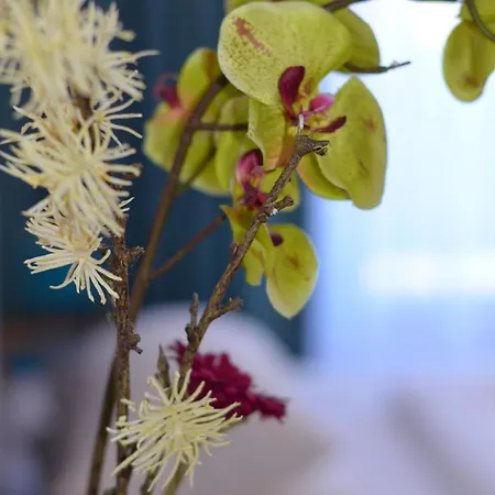 노이 - 게스트하우스&아파트먼트 호텔