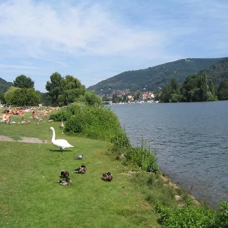 Hotel Neu - & 3*