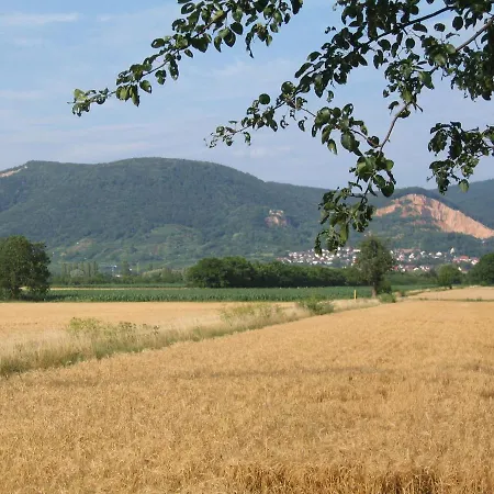 Neu - &