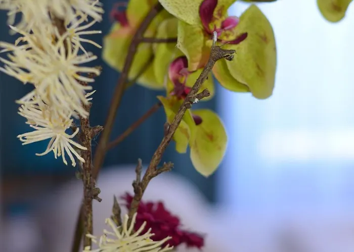 Neu - Guesthouse&apartments Hotel