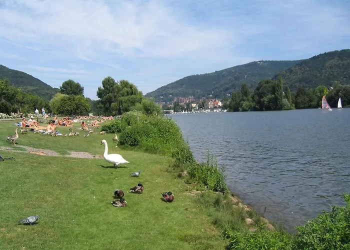 Hotel Neu - Guesthouse&apartments 3*