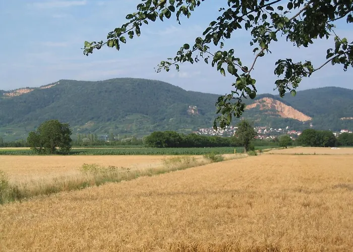 Neu - Guesthouse&apartments